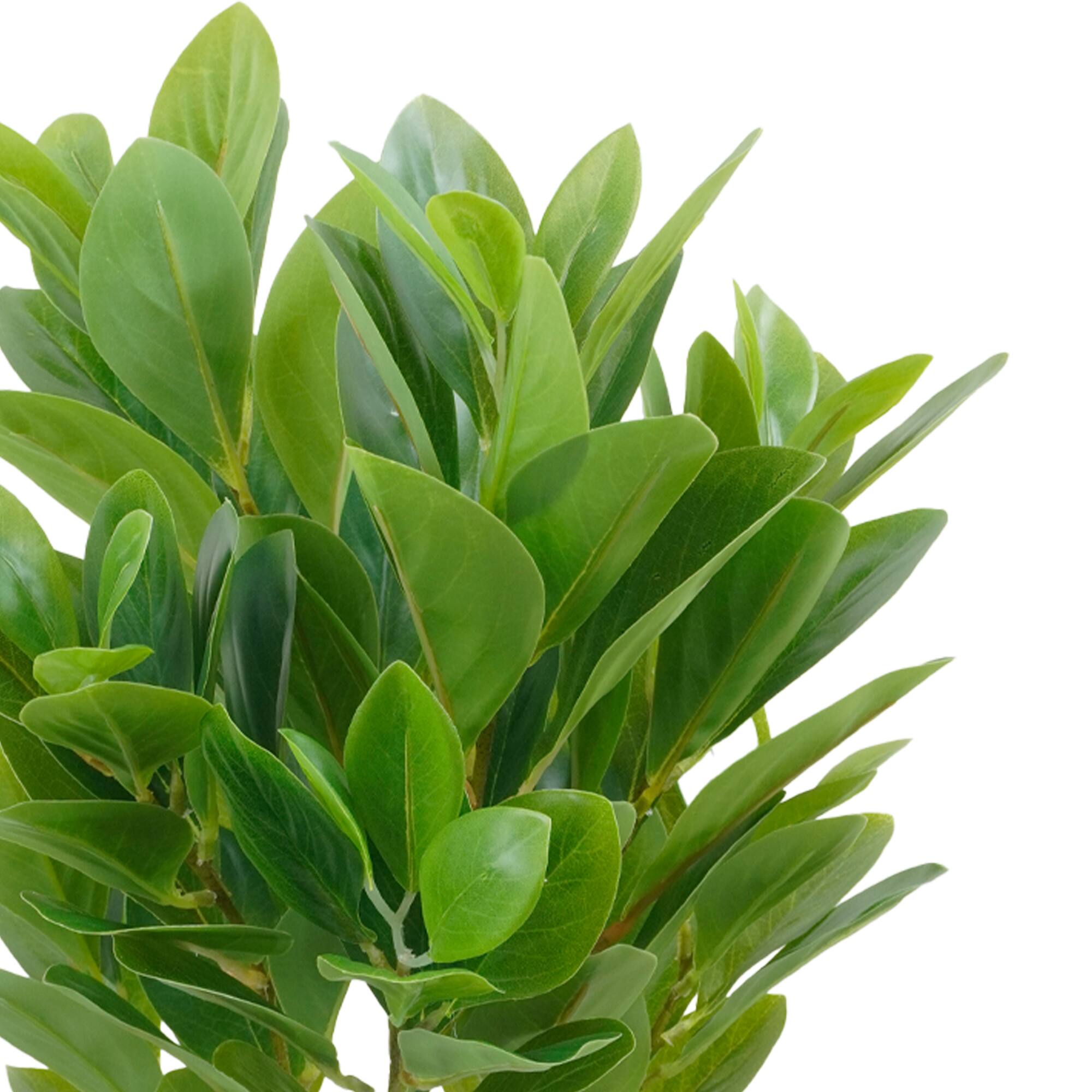 21" Green Watercress Bush by Ashland®